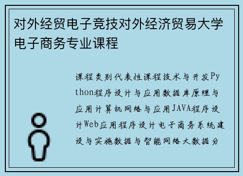对外经贸电子竞技对外经济贸易大学电子商务专业课程